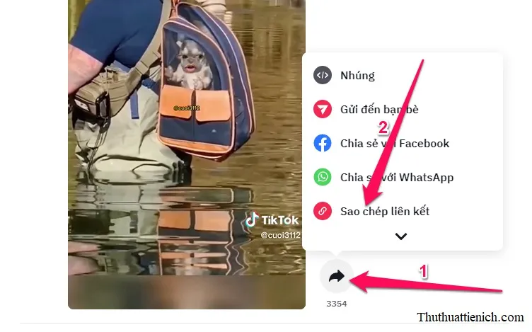 Cách tải video Tiktok về máy tính không có logo