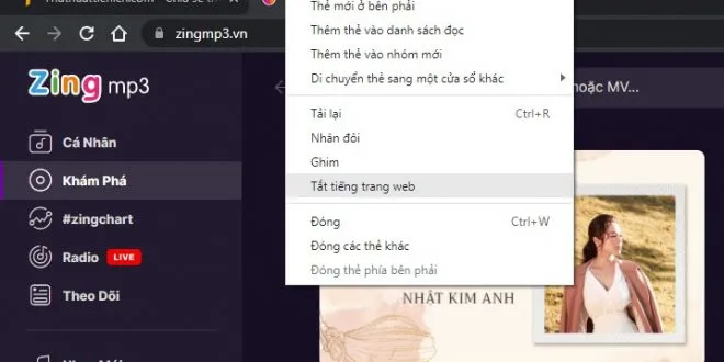 Cách tắt tiếng, nhạc trong tab bất kỳ trên trình duyệt Google Chrome