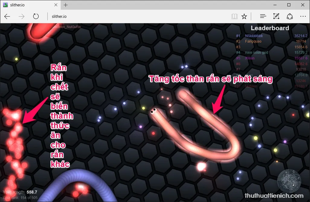 Chơi game Rắn săn mồi Slither.io Online vui vẻ, đẹp mắt, dễ “gây nghiện”