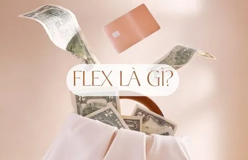 Flex là gì? Flex trên Facebook, Tiktok, Youtube là gì?