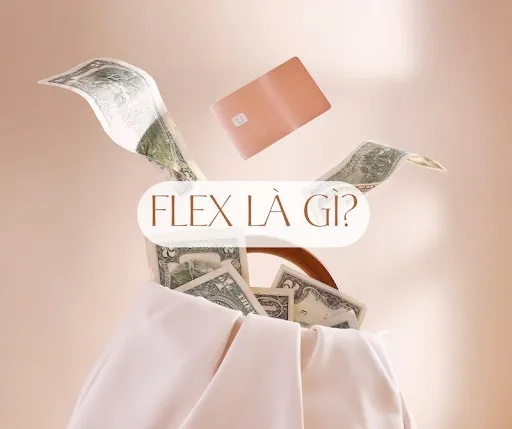 Flex là gì? Flex trên Facebook, Tiktok, Youtube là gì?