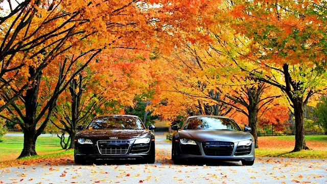 Hình nền Ôtô Audi R8 cực chất cho máy tính