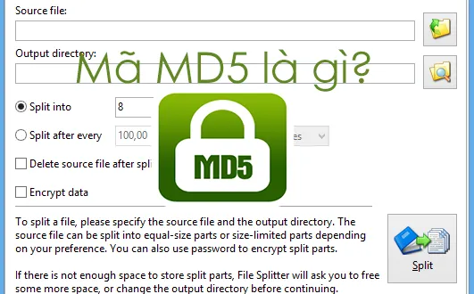 Mã MD5 là gì? Cách kiểm tra mã MD5 bằng phần mềm FFSJ
