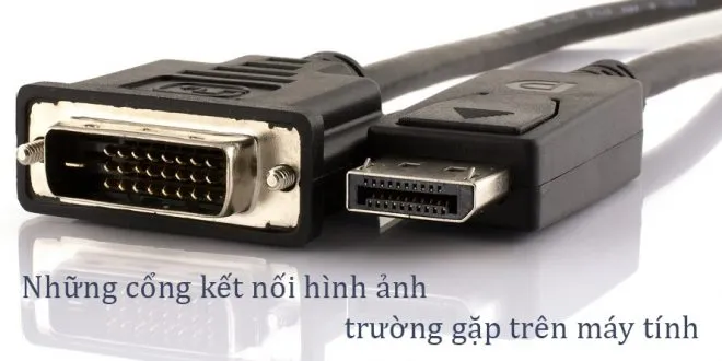 Những cổng kết nối hình ảnh trường gặp trên PC, Laptop, Card màn hình