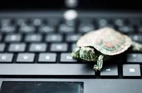 Những nguyên nhân khiến máy tính của bạn “chậm như rùa”