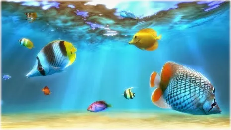 Sim Aquarium – Phần mềm tạo bể cá 3D trên màn hình