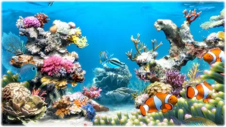 Sim Aquarium – Phần mềm tạo bể cá 3D trên màn hình